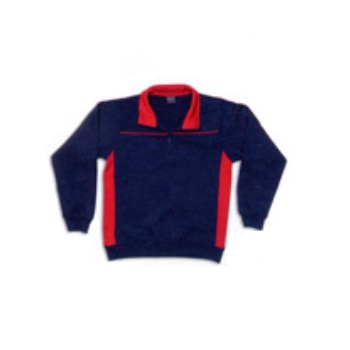 Producto SUDADERA THUNDER VL
